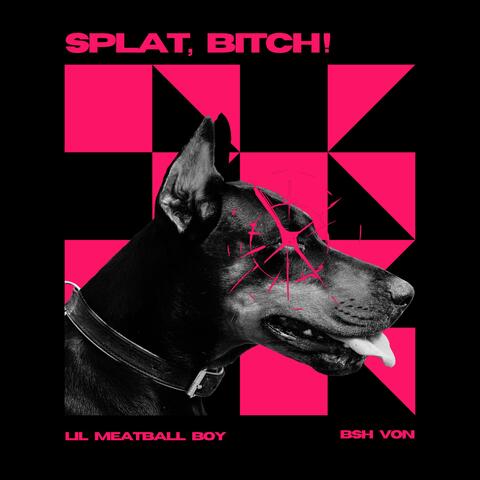 SPLAT, BITCH! (feat. BSH VON)
