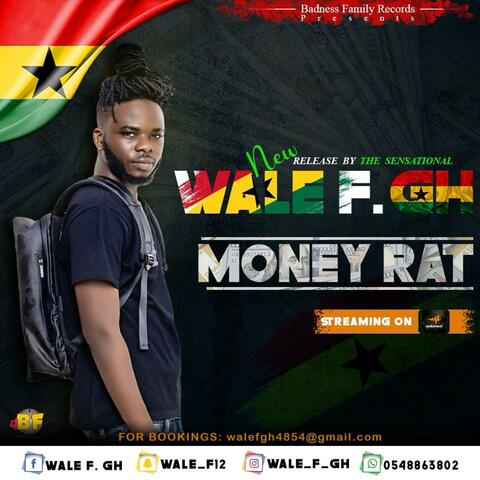 Money Rat