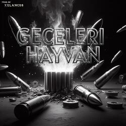GECELERI HAYVAN