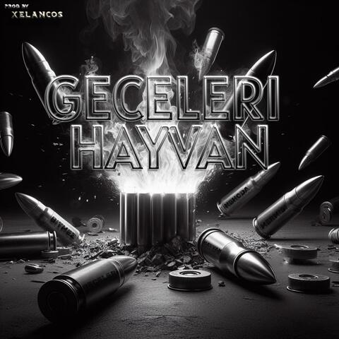 GECELERI HAYVAN