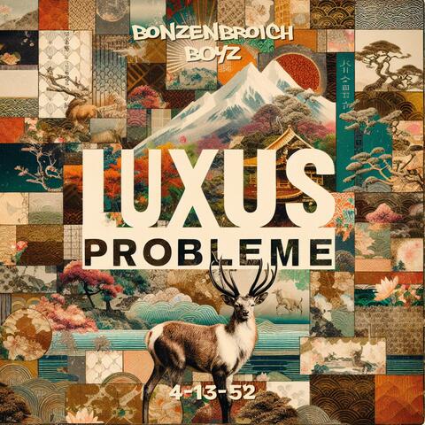 Luxusprobleme