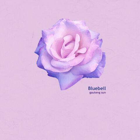 Bluebell