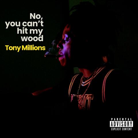 No, You Can't Hit My Wood (Radio Edit)