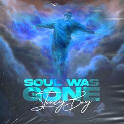 Soul Was Gone