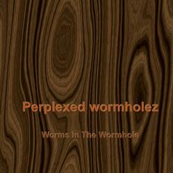 Worms In The Wormhole