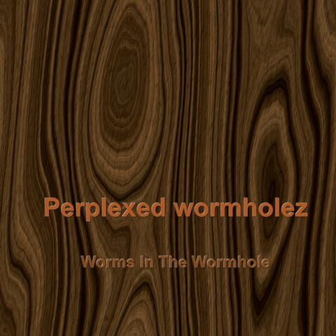 Worms In The Wormhole