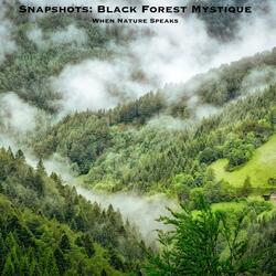 Snapshots: Black Forest Mystique