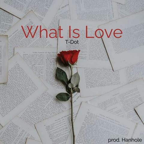 What Is Love (feat. Hanhole)