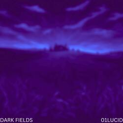 Dark Fields