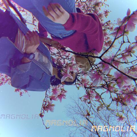 Magnolia