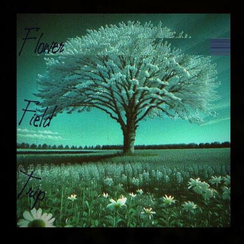 Flower Field Trip