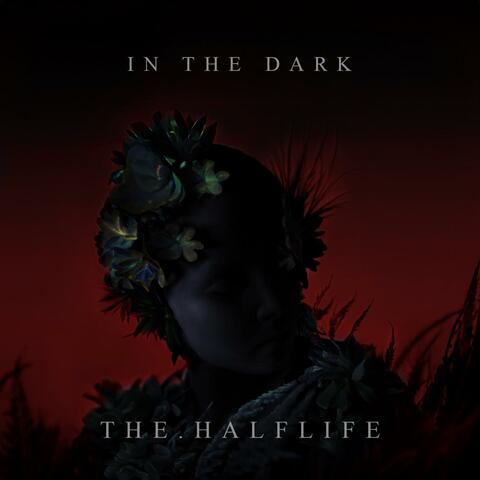 In The Dark