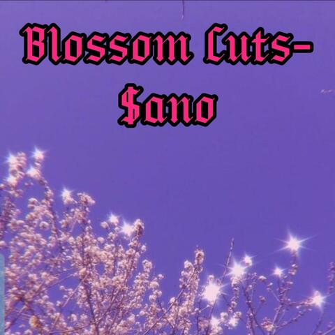 Blossom Cuts