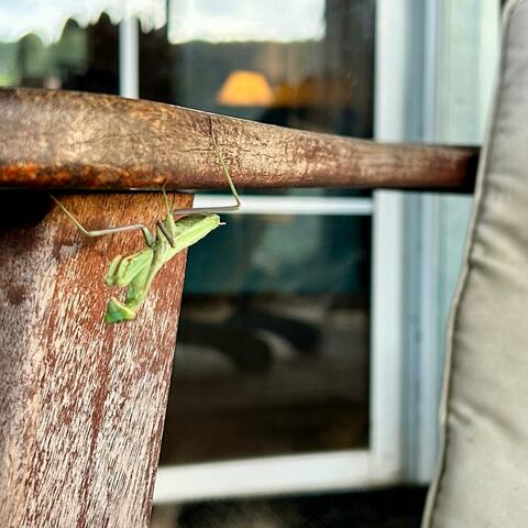 Dear Friend (feat. Mister Blair)