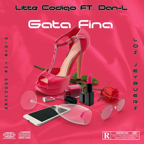 Gata Fina (feat. Litte Codigo)