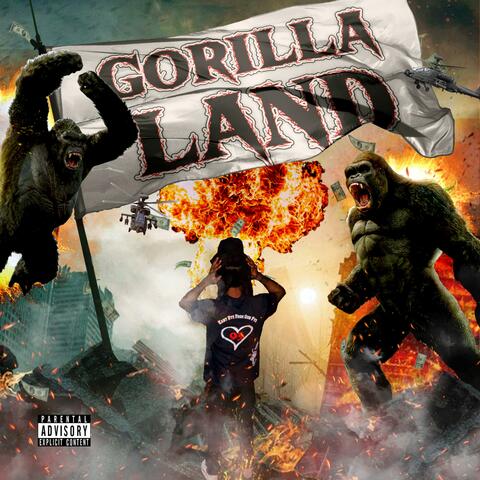Welcome to gorilla land