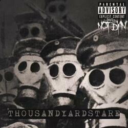THOUSANDYARDSTARE
