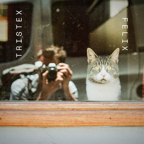 TRISTEX