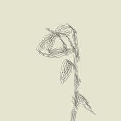 A Song You Should Forget