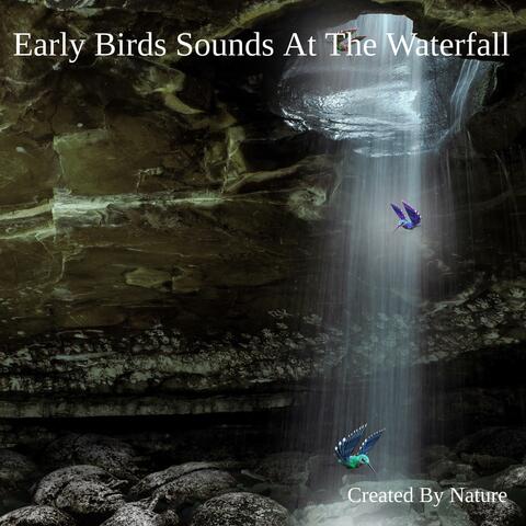 Early Birds Sounds At The Waterfall