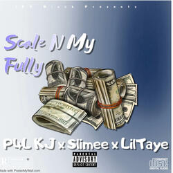 Scale N My Fully