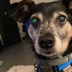 Untitled IV (нет соло)