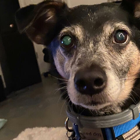 Untitled IV (нет соло)