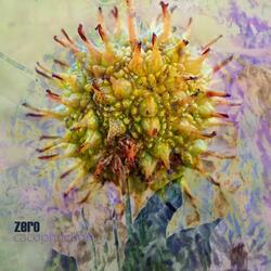 Zero