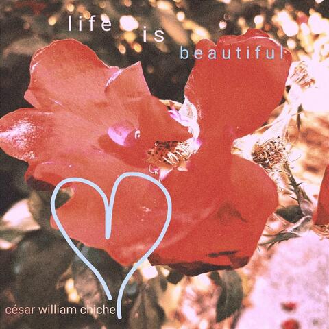 Life Is Beautiful