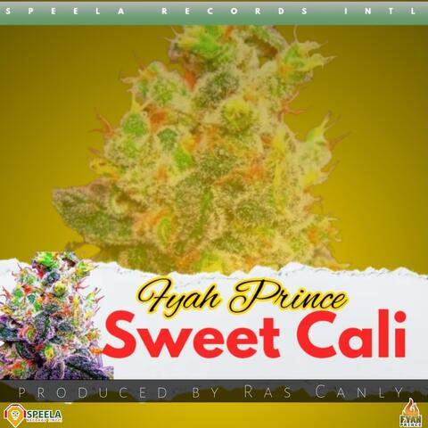 Sweet Cali