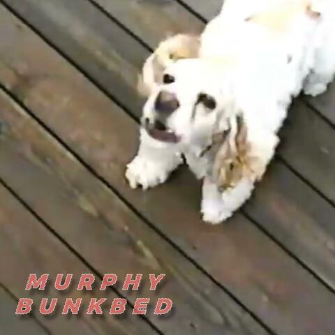 Murphy Bunkbed