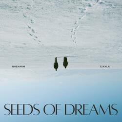 Seeds of Dreams (feat. noeharm)