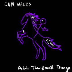 All the Small Things