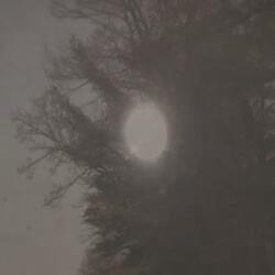 Breakfast in America