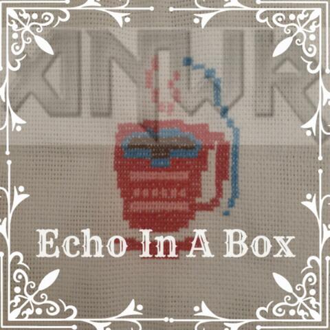 Echo In A Box