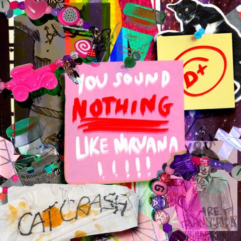 You Sound Nothing Like Nirvana