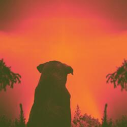 Test Flight (feat. Frieyies)