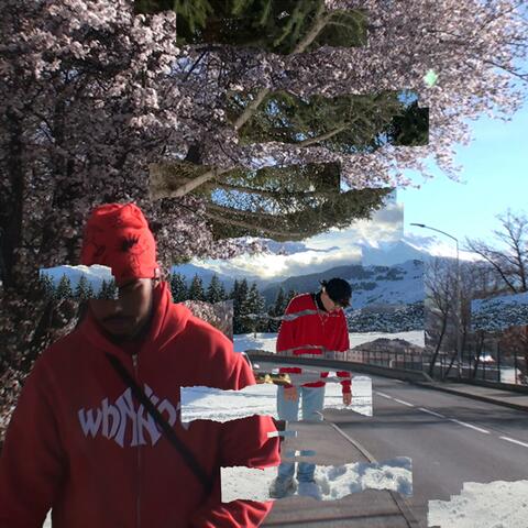 POUR V(N)OUS (feat. Vagaa)