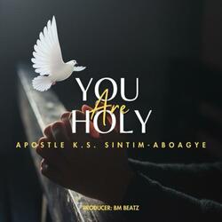 You Are Holy