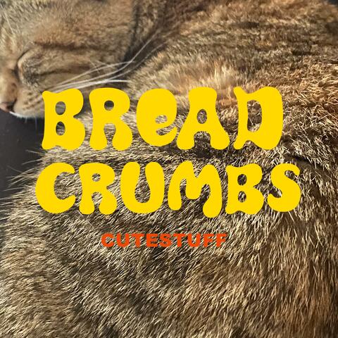 Bread Crumbs