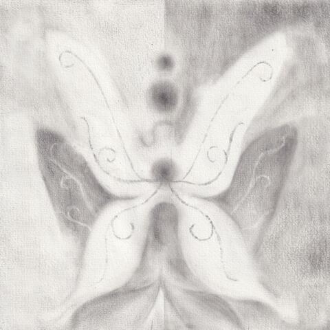 Transparency