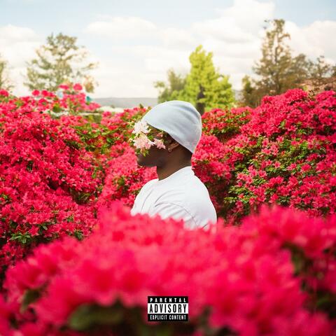 What she likes (feat. Noxz)