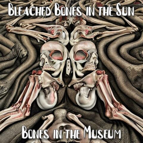 Bleached Bones in the Sun