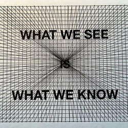 WHAT WE SEE IS WHAT WE KNOW