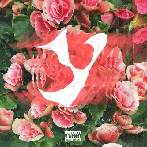 Y