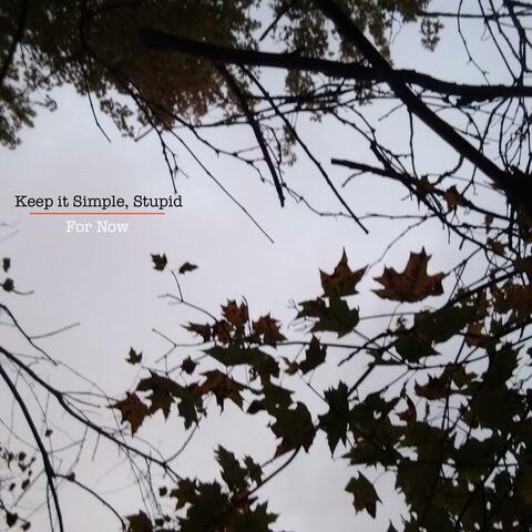 Keep it Simple, Stupid / For Now