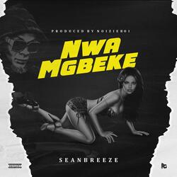Nwamgbeke