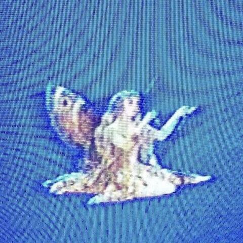 for the fairies of the forest (disc 2)