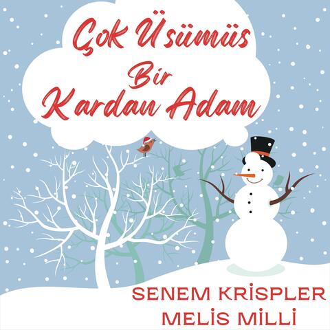 Çok Üşümüş Bir Kardan Adam (feat. Senem Krispler)