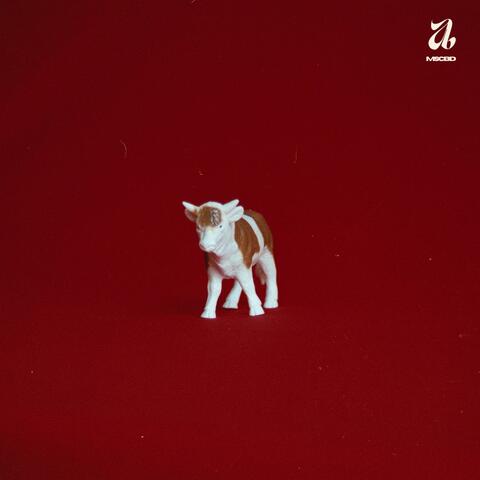 TAURO